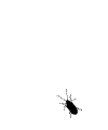 logo mosca